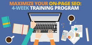 Sales Page for Maximize Your On-Page Seo 4-Week Training