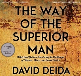 David Deida - The Superior Man Online Program