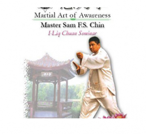 Sam F.S. Chin - Chi Kung for Health