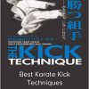 Seiji Nishimura - Best Karate Kick Techniques