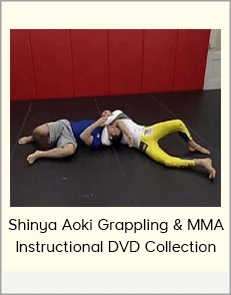 Shinya Aoki Grappling & MMA Instructional DVD Collection