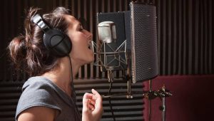 Signature Sound - The Aspiring Recording Artists Guide To Singing