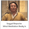 Sogyal Rinpoche - What Meditation Really Is