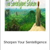 Stacey Mayo - Sharpen Your Sentelligence