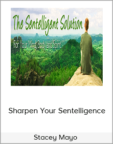 Stacey Mayo - Sharpen Your Sentelligence