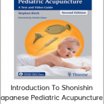 Stephen Birch - Introduction To Shonishin - Japanese Pediatric Acupuncture