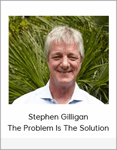 Stephen Gilligan - The Problem Is The Solution