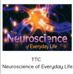 TTC - Neuroscience of Everyday Life