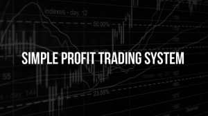 The Trade Academy - Simple Profit Trading System