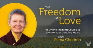 Pema Chodron - The Freedom To Love