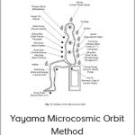 Dr. Yayama Toshihiko - Yayama Microcosmic Orbit Method