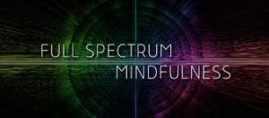 Ken Wilber - Full Spectrum Mindfullness 2019