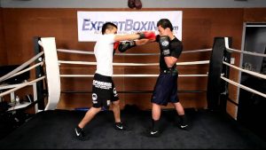 Instructional Boxing Full course