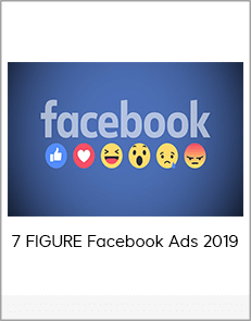 7 FIGURE Facebook Ads 2019