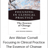 Ann Weiser Cornell - Focusing in Clinical Practice. The Essence of Change