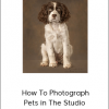 Carli Davidson – How To Photograph Pets in The Studio