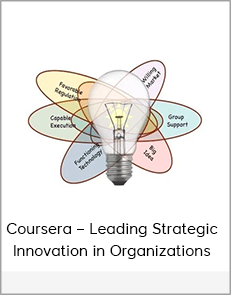 Coursera – Leading Strategic Innovation in Organizations