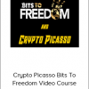 Crypto Picasso Bits To Freedom Video Course