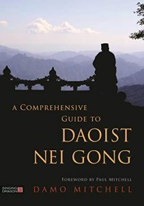 Damo Mitchell - A Comprehensive Guide to Daoist Nei Gong