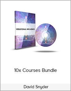 David Snyder – 10x Courses Bundle