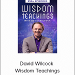 David Wilcock – Wisdom Teachings