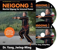 Yang Jwing-Ming - Neigong - Martial Qigong for Internal Power