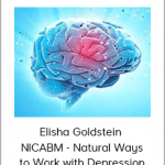 Elisha Goldstein - NICABM - Natural Ways to Work with Depression