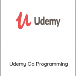 Example – Udemy Go Programming