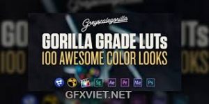 Greyscale Gorilla – Gorillla Grade LUTs