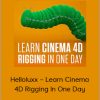 Helloluxx – Learn Cinema 4D Rigging In One Day