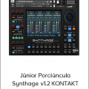 Júnior Porciúncula Synthage v1.2 KONTAKT