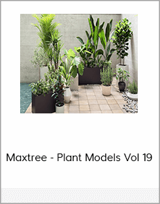 Maxtree - Plant Models Vol 19