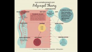 NICABM - Polyvagal Theory