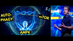 Sim Land - Metabolic Autophagy Master Class