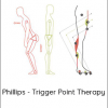 Phillips - Trigger Point Therapy