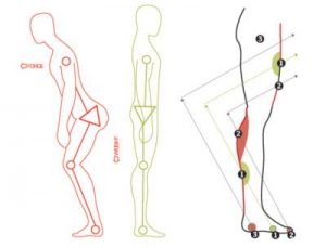 Phillips - Trigger Point Therapy