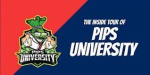 Pips University – The Only Forex Course You Will Ever Need