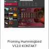 Prominy Hummingbird V1.2.0 KONTAKT