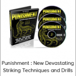 Punishment : New Devastating Striking Techniques and Drills