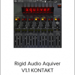 Rigid Audio Aquiver V1.1 KONTAKT