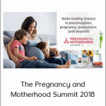 The Pregnancy and Motherhood Summit 2018