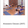 The Yoga Collective – Anaswara Classes (2017)