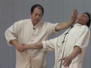 Yang Jwing Ming - Tai Chi Chin Na