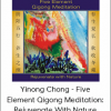 Yinong Chong - Five Element Qigong Meditation: Rejuvenate With Nature