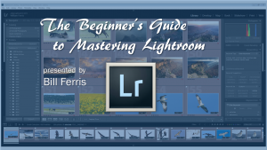 The Beginners Guide To Mastering Lightroom