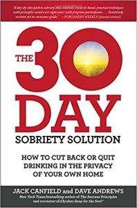 Dave Andrews - 30 Days Sobriety Solution