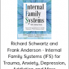 Richard Schwartz and Frank Anderson - Internal Family Systems (IFS) for Trauma, Anxiety, Depression, Addiction and More