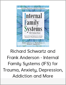 Richard Schwartz and Frank Anderson - Internal Family Systems (IFS) for Trauma, Anxiety, Depression, Addiction and More