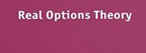 Jeffrey J.Reuner - Real Options Theory