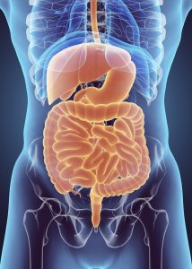 Gastrointestinal Conditions And Diseases - Patricia Ryan